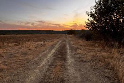 Teren extravilan 5000 , 2,5 euro mp BREASTA - 2