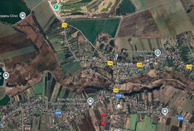 Teren intravilan 9.006 m2, Nicule?ti