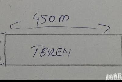 Teren de 10000 mp, în Pișchia - 5