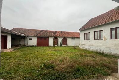 Casa individuala 5 camere 1439mp , curte, mobilata , Sintesti Timis - 2