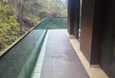 Inchiriem Apartament 2  Camere Open Space Modern Racadau - 3