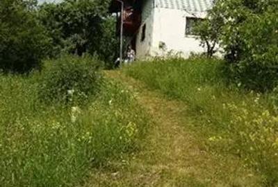 Casă cu 1 camere cu Teren 5000 Mp în Drajna - 7