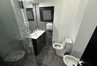 Birou, de 70 mp, în Romană - 10