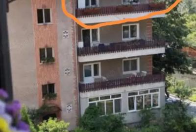 Vand apartament 3 camere in Baile Herculane,garaj si boxa - 10