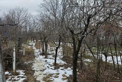 Casă cu 2 camere în Central - 3