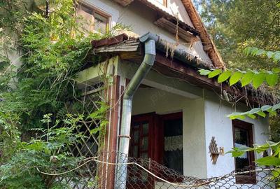 Proprietar, vand casa parter+etaj, 150 mp, curte 3438 mp, Avram Iancu - 3