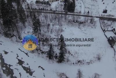 Teren de 2283 mp, în Tarcău - 19