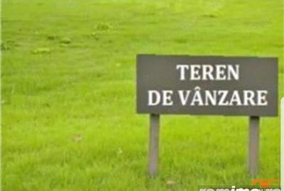 Teren de 10000 mp, în Sânandrei