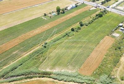 Teren cu potential de dezvoltare –7427 mp in Argeselu, Maracineni, judetul Arges - 7