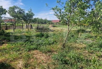 Casă individuală cu 2 camere cu Canalizare în Iclod - 4