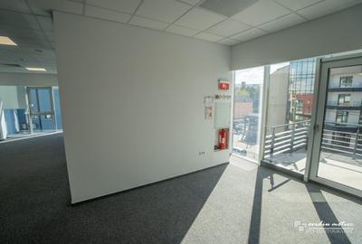 Birouri 216 mp Brancusi - 9