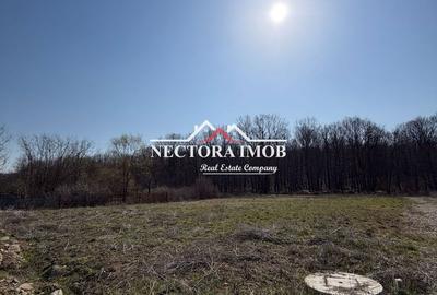 Spațiu comercial, în Alparea - 2