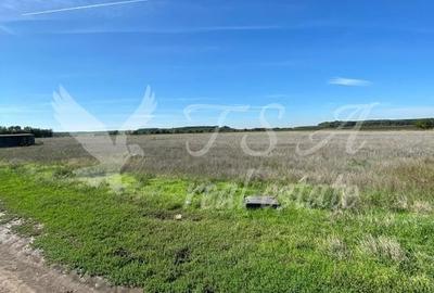 Teren Intravilan 825mp Cu dubla deschidere si Drum de servitute, Dascalu  Ilfov - 6