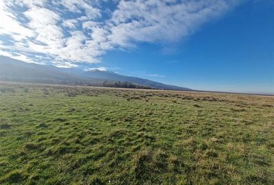 Teren de vanzare in satul de vacanta Dejani - 10