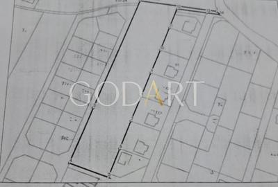 Teren Construcții intravilan de 5291 mp, în Viforâta - 3