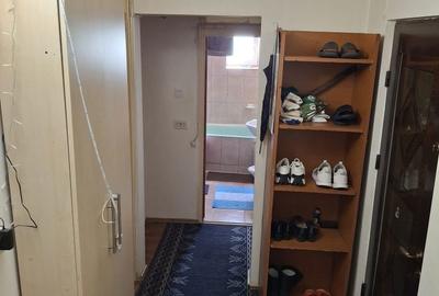Apartament cu 3 camere decomandat în Paltiniș - 1