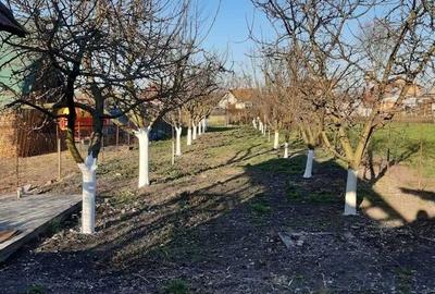 Casă cu 2 camere în Răscruci - 3