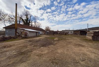 Fabrica prelucrare lemn de vanzare – Lipova, Arad - 13