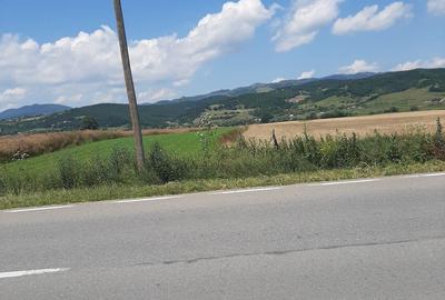 Teren de 5200 mp, în Vințu de Jos