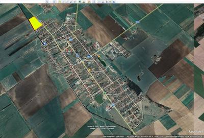 Parcele pentru constructie case - Peciu Nou- - 1