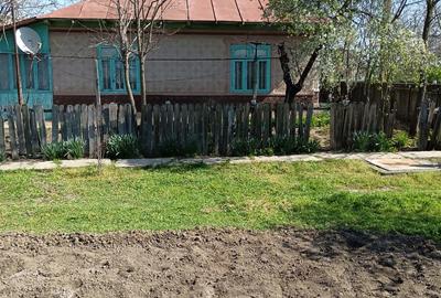 Casă cu 4 camere cu Teren 2988 Mp în Central - 6