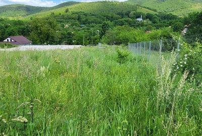 Teren de 4000 mp, în Petrești - 5