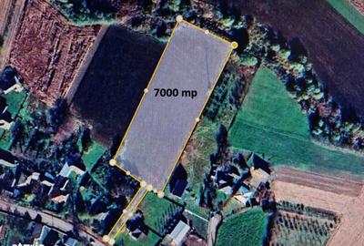 Teren de 7000 mp, în Boroaia - 5