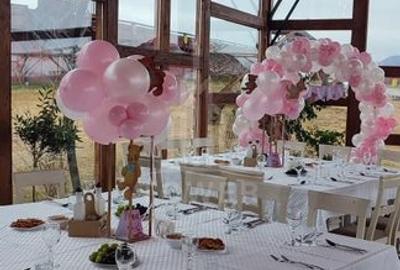 Închiriere Spațiu Comercial - Restaurant - Valea Avrigului - 4