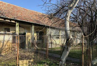 Casa pitoreasca, 4 camere, 180 mp, zona Beregsau Mare - 6