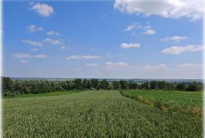 Teren de 1300 mp, în Bosanci - 3