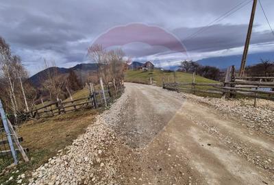 Comision 0 %/ Teren extravilan 13,570mp Pestera / Priveliste Manastire - 8