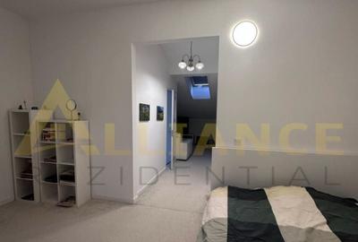 Splaiul Unirii Vila P+1+M, Mobilata si Utilata - 4 camere, 2 bai - 12