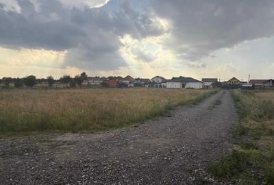 Teren de 469 mp, în Remetea Mare - 5