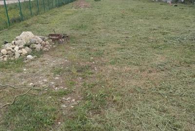 Teren de 6500 mp, în Petrești - 7
