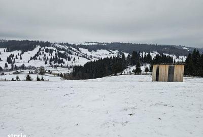 Teren de 25731 mp, în Breaza - 6