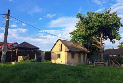 Teren intravilan 3843 mp de vanzare in Curtea de Arges - 3