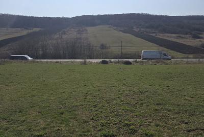 Teren de 25000 mp, în Hereclean - 1