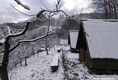 Casa de vacanta, cu lac, 5640 mp teren, Huta, com. Chiuiesti, jud. Cluj Casa de vacanta, cu lac, 5640 mp teren, Huta, com. Chiuiesti, jud. Cluj - 49