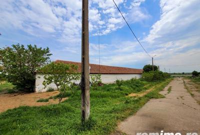 Domeniu, 9,5 ha, 25 KM de Timisoara - 18