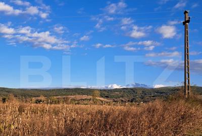 Teren extravilan cu poten?ial IMENS de dezvoltare in BAC - 2