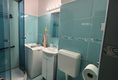 Garsonieră semidecomandată în Dristor - 5