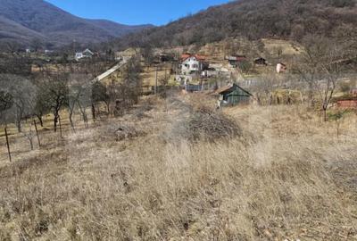 Teren de 1550 mp, în Cetate - 2