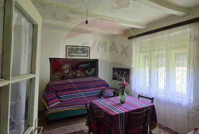 Casa cu livada 2880 mp in Adea la 4km de Chi?ineu-Cri? - 3