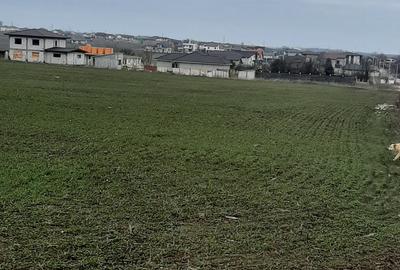 Teren in Lazu de 400 mp - Intravilan - 4