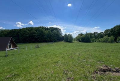 Teren de 20000 mp, în Reghin - 1