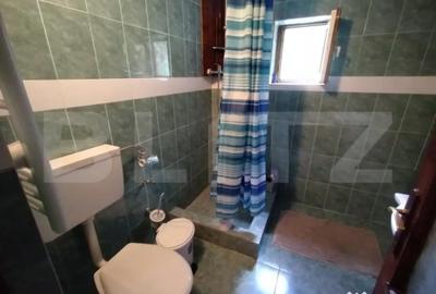 Casă cu 3 camere cu Teren 25000 Mp în Năsăud - 7