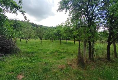 Casă cu 3 camere în Pianu - 7