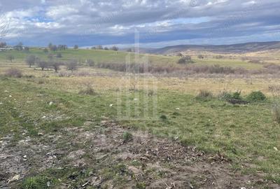 Teren de 1800 mp, în Roșia - 2