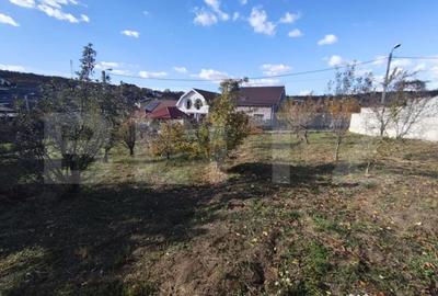 Teren de 700 mp, în Dealuri Oradea