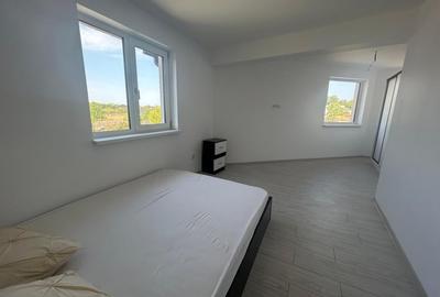 Casa P+1, teren 300 mp, 97 mp utili, Bariera Valcii - 5